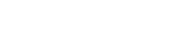 vinfax logo